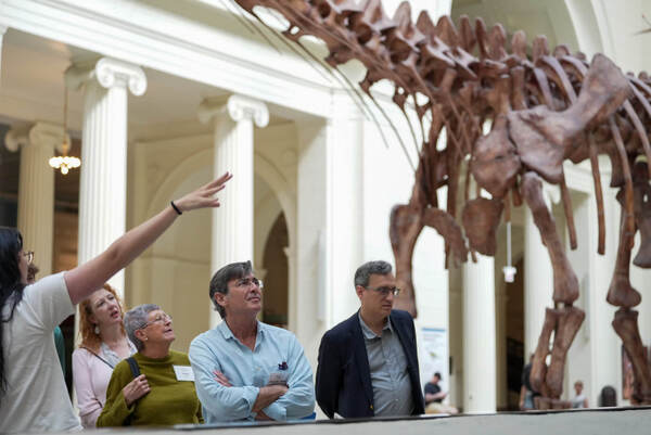 field museum