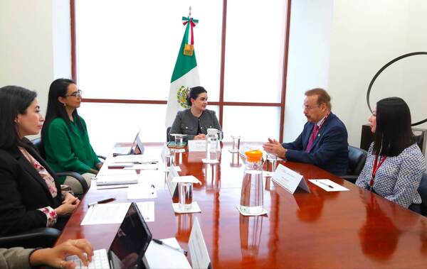Individuals in a meeting